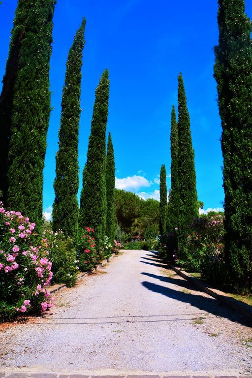 Agriturismo L'Aquilone Magliano in Toscana Exterior foto